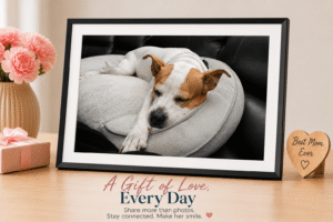Digital Picture Frame